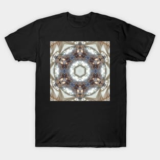 intricate art nouveau and art deco styled pattern and designs T-Shirt